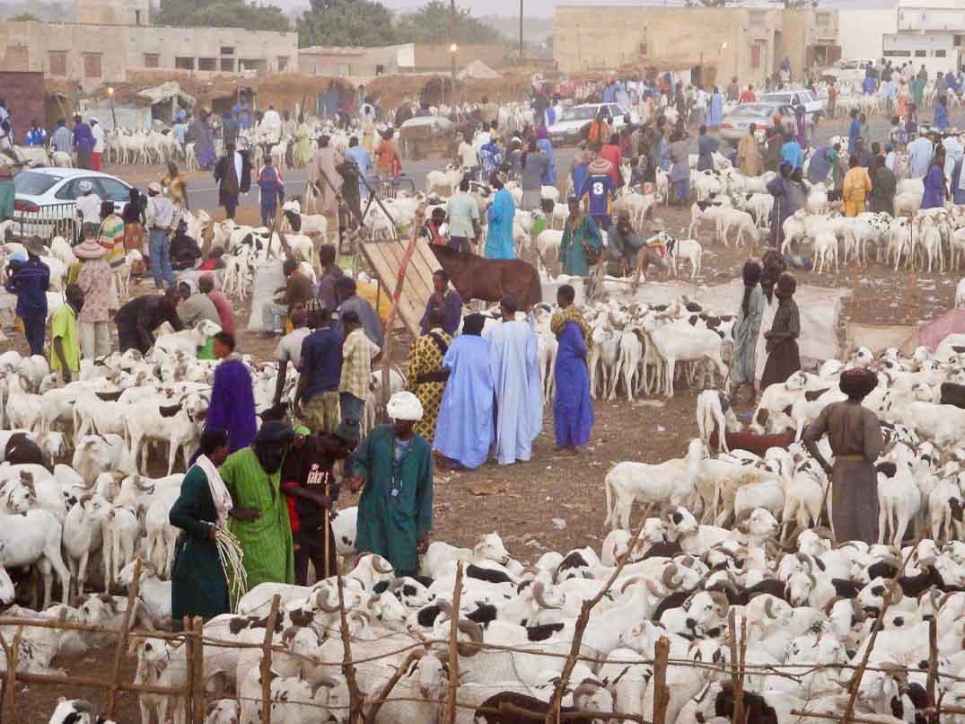 Elevage : Progression de l’activité, en variation trimestrielle, au premier trimestre 2017 Elevage : Progression de l’activité, en variation trimestrielle, au premier trimestre 2017