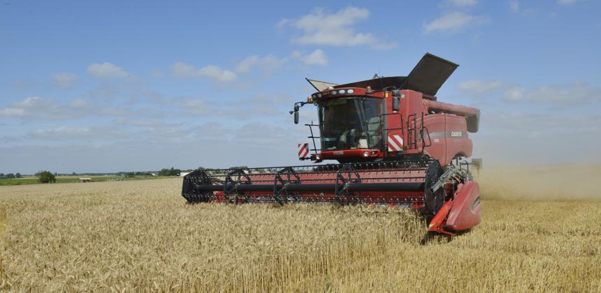 Agriculture : L’USDA table sur 3181,2 millions tonnes pour la campagne 2017-2018 Agriculture : L’USDA table sur 3181,2 millions tonnes pour la campagne 2017-2018