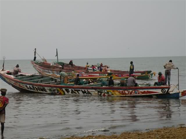 PÊCHE AU SÉNÉGAL : Le Japon engagé à poursuivre sa contribution au développement du secteur PÊCHE AU SÉNÉGAL : Le Japon engagé à poursuivre sa contribution au développement du secteur