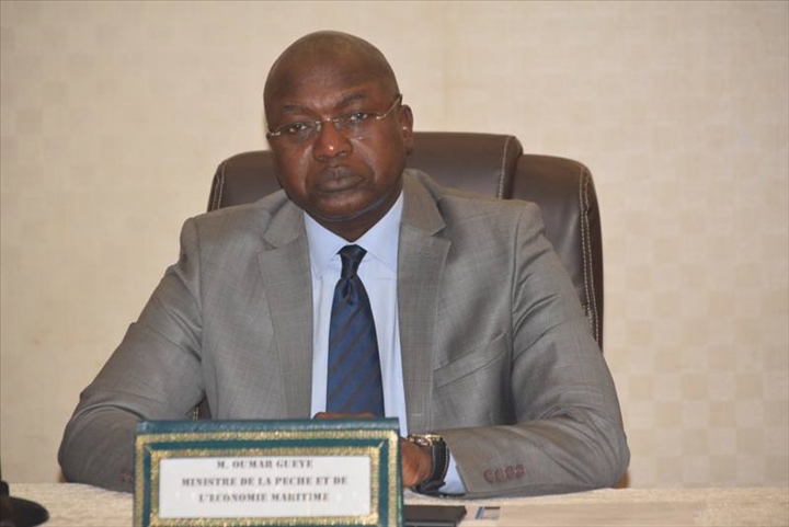 PRODUCTION DE POULPE : 4522 tonnes débarquées au Sénégal en 2016 PRODUCTION DE POULPE : 4522 tonnes débarquées au Sénégal en 2016