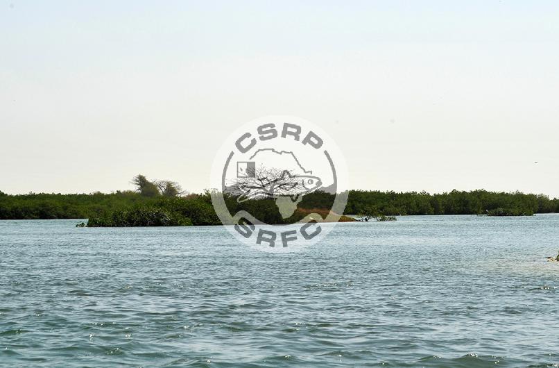 FINANCEMENT DU SECTEUR DE LA PÊCHE : La CSRP veut arriver à une autonomie financière durable FINANCEMENT DU SECTEUR DE LA PÊCHE : La CSRP veut arriver à une autonomie financière durable