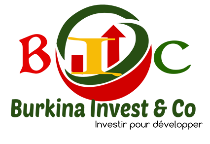 Financement : Plus de 2000 personnes attendues au Forum Diaspora Invest