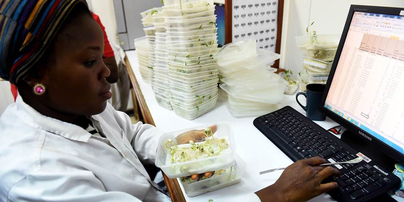 Pour une égalité des genres des scientifiques africains Pour une égalité des genres des scientifiques africains