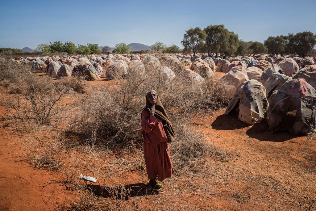 La FAO appelle à mobiliser 1,06 milliard de dollars pour lutter contre la faim dans 26 pays