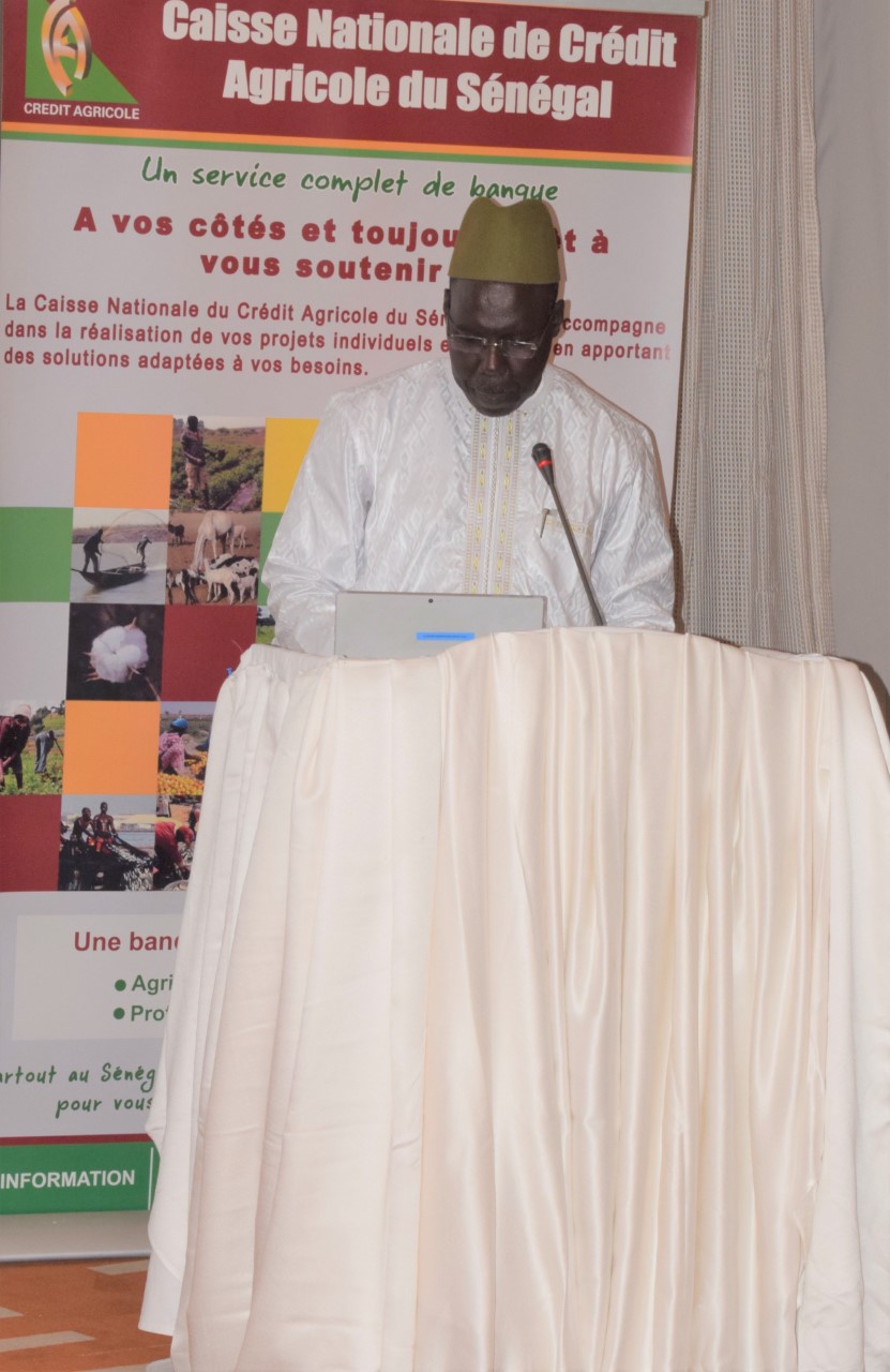 Lancement du Programme de Transformation SYNERGIE 2022 : La CNCAS  veut rester leader dans le financement des chaines de valeurs agricoles Lancement du Programme de Transformation SYNERGIE 2022 : La CNCAS  veut rester leader dans le financement des chaines de valeurs agricoles