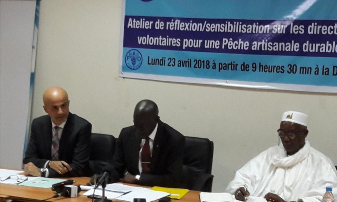 Exportations des produits d'origine sénégalaise: la pêche artisanale représente 83% des débarquements en 2017 selon la Fao