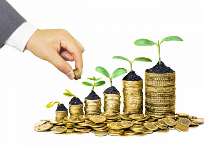 Rapport AVCA : Le capital-investissement africain crée de la valeur par l’investissement durable