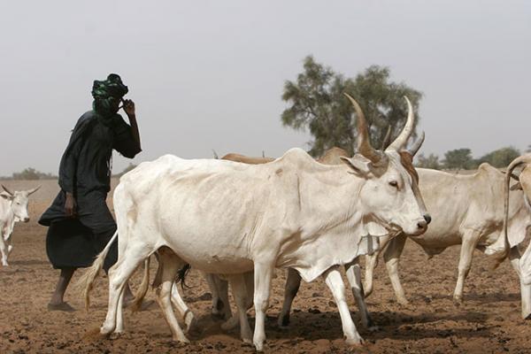 Sénégal : Regain de l’activité économique interne en Mars