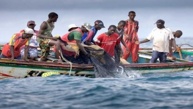 Sénégal : regain d’activité du secteur primaire en mai 2018