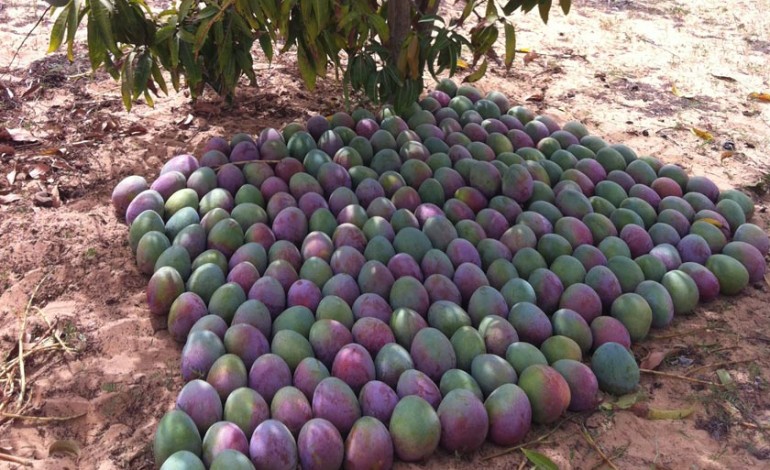 Commerce: Les exportations en hausse en mai Commerce: Les exportations en hausse en mai