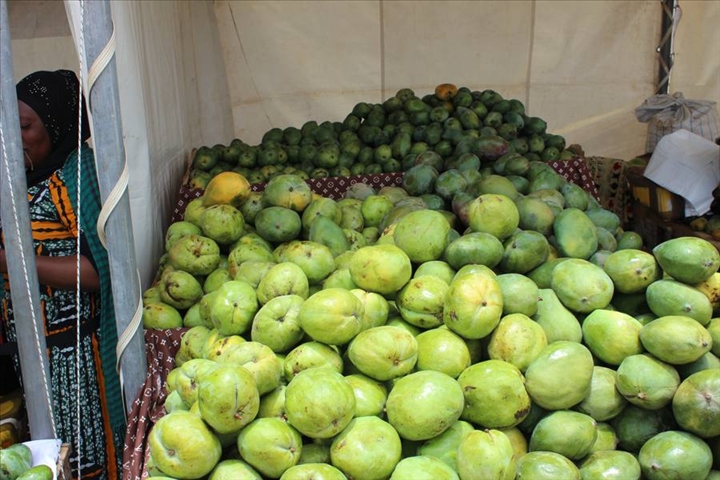 Commerce : Une chute des prix des produits exportés Commerce : Une chute des prix des produits exportés