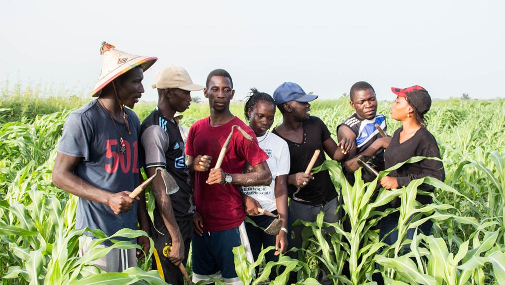 SENEGAL : ‘’Ferme factory’’, fin de la saison 1 de la première émission de téléréalité au service de l’agriculture