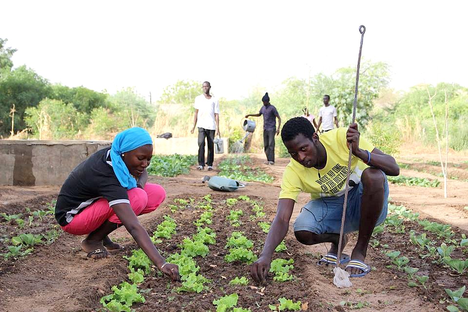 AGRICULTURE : L’ANIDA prévoit de réaliser 450 fermes agricoles d’ici à 2019