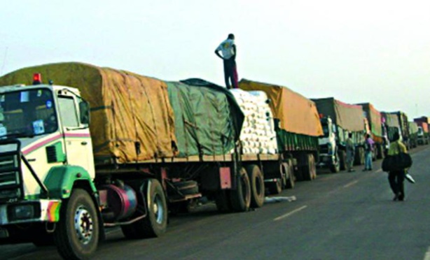 Sénégal : Les exportations en repli en juin