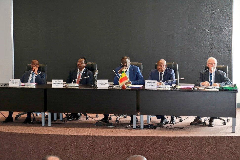 Atteinte de l’autosuffisance en riz en Afrique : La Fao milite pour un engagement politique et des investissements