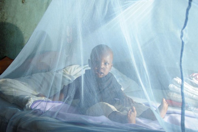 Paludisme: 84% des ménages possèdent une moustiquaire