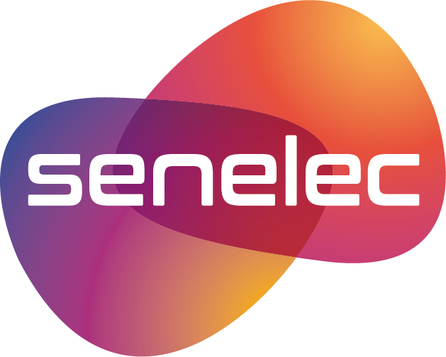 Sénégal : LE FSE débloque 9,7 milliards de FCFA pour la  SENELEC en juillet 2018