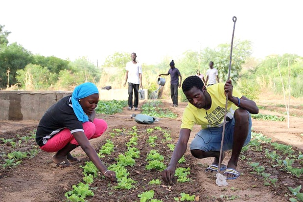Agriculture: La FAO réunit les pays du Bassin du Fleuve Sénégal pour discuter des opportunités d’investissements agricoles pour les jeunes Agriculture: La FAO réunit les pays du Bassin du Fleuve Sénégal pour discuter des opportunités d’investissements agricoles pour les jeunes