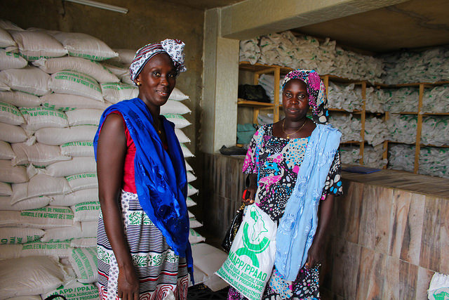 Gérantes de petites exploitations agricoles au Sénégal. © Daniella Van Leggelo-Padilla/Banque mondiale