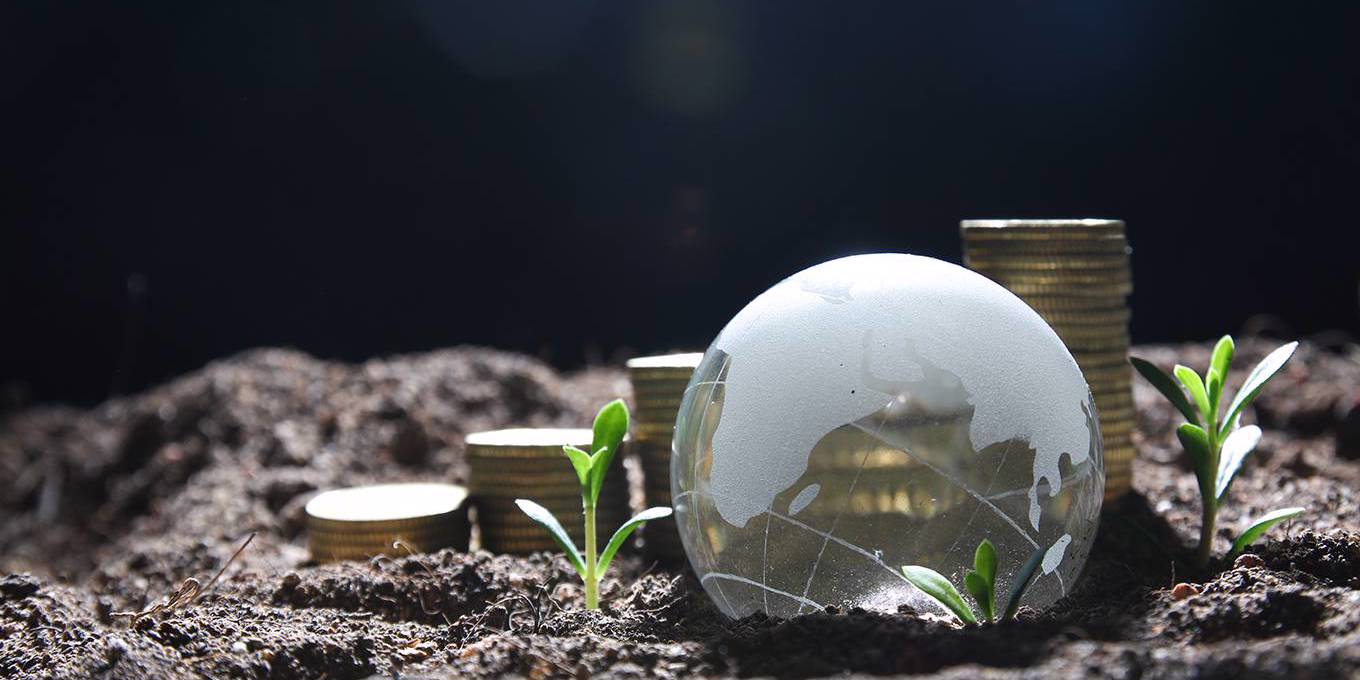 Pourquoi le monde a besoin de banques nationales de développement