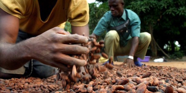 Uemoa :  Les cours des matières premières exportées en baisse en mai 2019