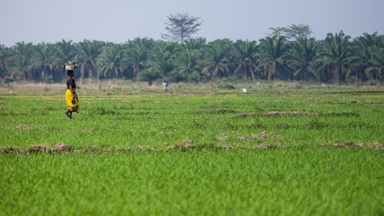 Avec une meilleure gouvernance foncière, l’Afrique peut cesser de dépenser 35 milliards de dollars par an en importations de produits alimentaires