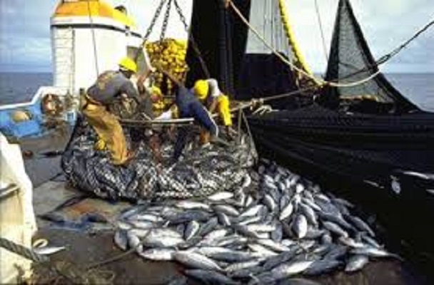 Sénégal : Bonne tenue de l’activité en octobre 2019 Sénégal : Bonne tenue de l’activité en octobre 2019