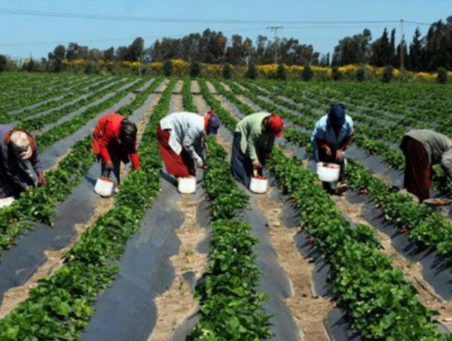 Projet agropole Sud en Casamance : La Bad apporte son soutien à hauteur de 43,1 millions d’euros