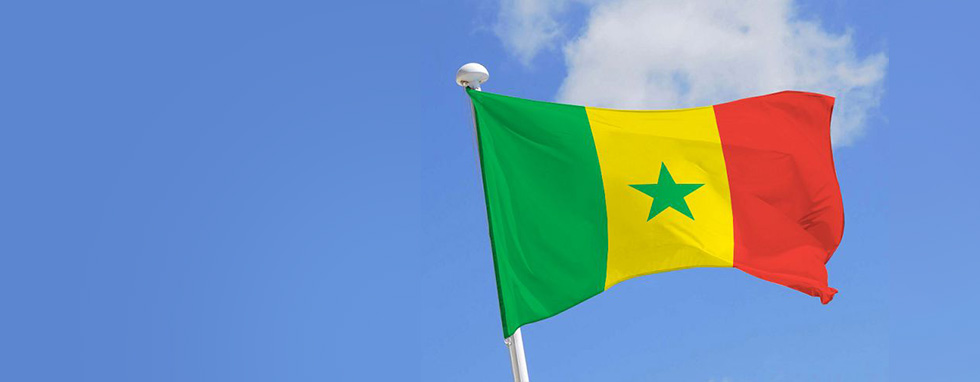 Sénégal : Une chercheure de l’Ipar décortique le contenu des Codes pétroliers de 1998 et 2019