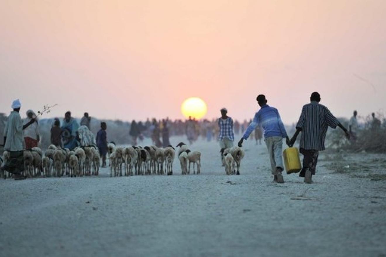 L'eau, élément essentiel de la solution aux changements climatiques