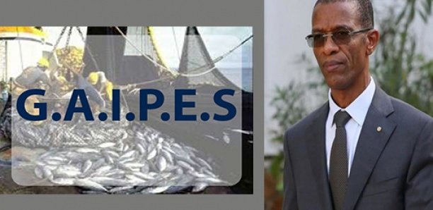 SENEGAL : La polémique entre ministère des Pêches et de l’Economie maritime et acteurs du secteur est un débat d’ordre national (APRAPAM)