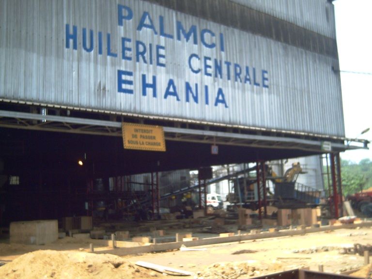 Palm Côte d’Ivoire enregistre une hausse de 31% de son chiffre d’affaires au 1er trimestre 2020