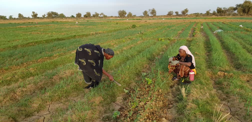 Sénégal : L’Agence française de développement injecte 6,4 millions d’euros dans les secteurs de l’agriculture et de l’eau