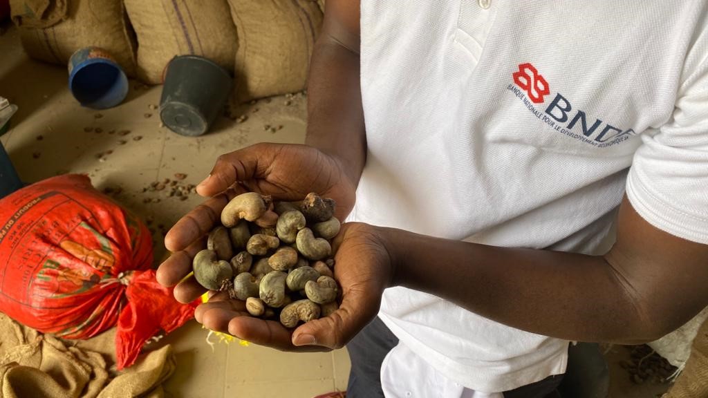 Sénégal : La BNDE s’engage pour le développement de la filière Anacarde