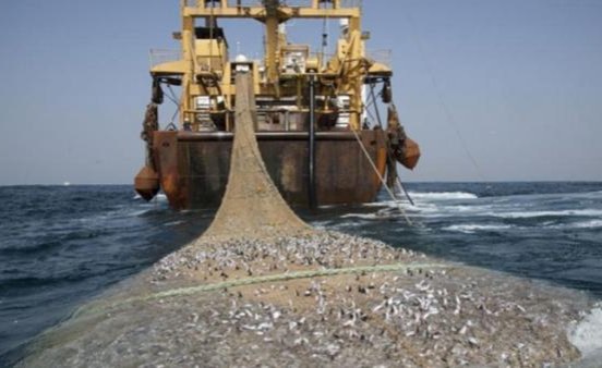PECHE : la CAOPA prône la transparence pour éradiquer la pêche INN et la corruption dans le secteur