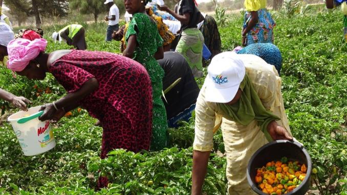 Secteur de l’agriculture ou des  services financiers :  76% des entreprises déclarent avoir perdu des revenus en avril