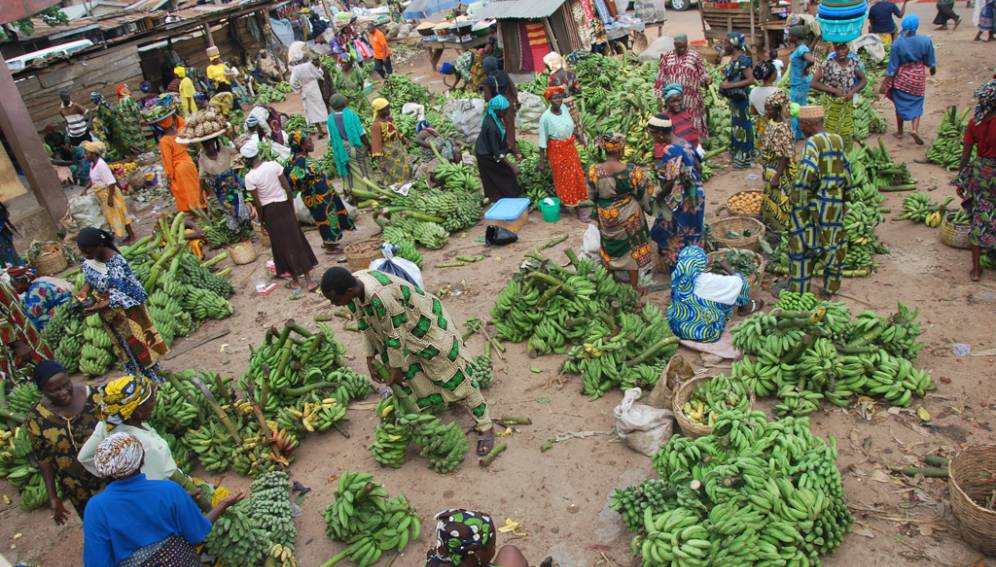 Banque mondiale : « Le système alimentaire est très loin de pouvoir nous aider à réaliser les Objectifs de développement durable»