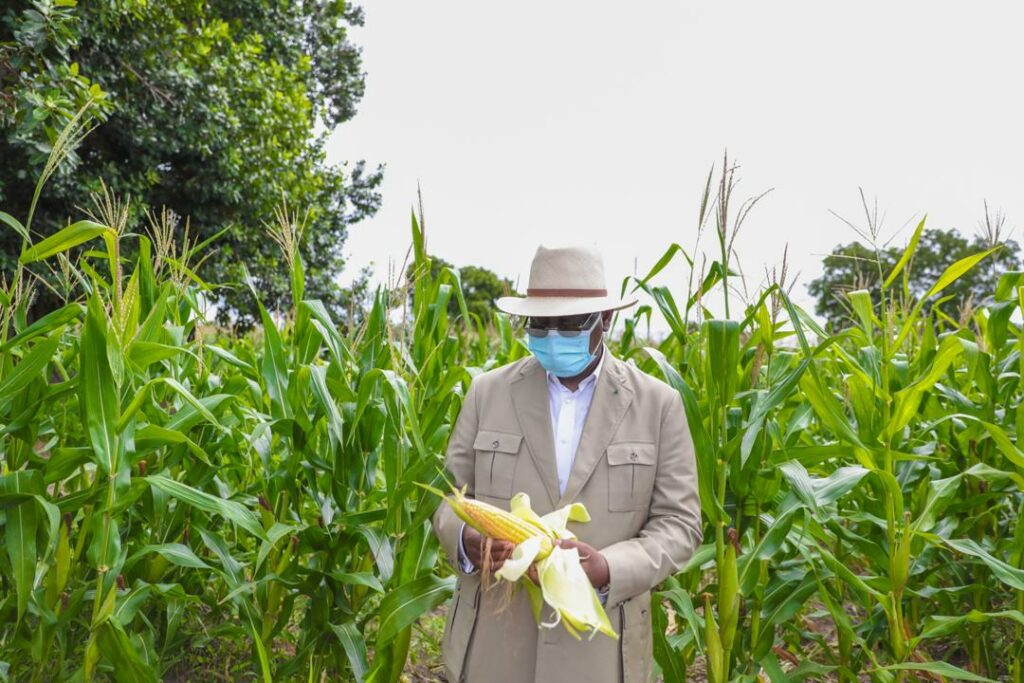 Sénégal : Macky Sall veut la mécanisation soutenue de l’agriculture