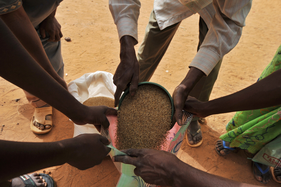 Insécurité alimentaire et crise  nutritionnelle au Centre Sahel : Des agences  des Nations-Unies appellent à l’assistance aux plus vulnérables