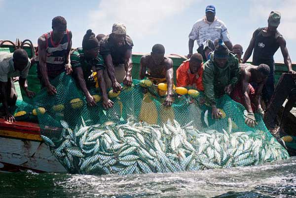 Journée mondiale de la pêche : Greenpeace appelle à une gestion transparente des ressources halieutiques au Sénégal