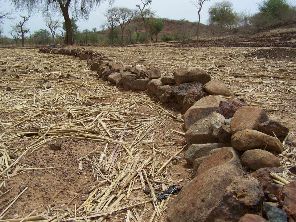 Amélioration de la fertilité des sols :  L’Ifdc et la Bidc de la Cedeao unissent leurs forces