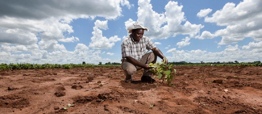 Le changement climatique s’accélère