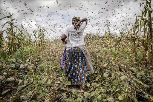 Cette menace (trop) silencieuse qui pèse sur l’Afrique