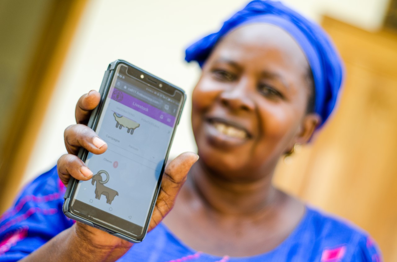 Partage de conseils et bonnes pratiques agricoles via la plateforme digitale SAIDA-Sn : 84 000 producteurs sénégalais ont reçu sur leurs téléphones les premiers SMS ce 30 mars