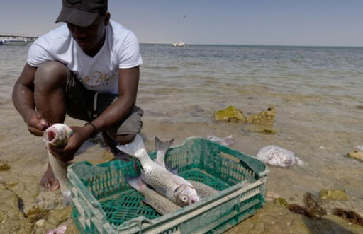 La Mauritanie lance son premier rapport à l'Initiative pour la transparence des pêches (FiTI)