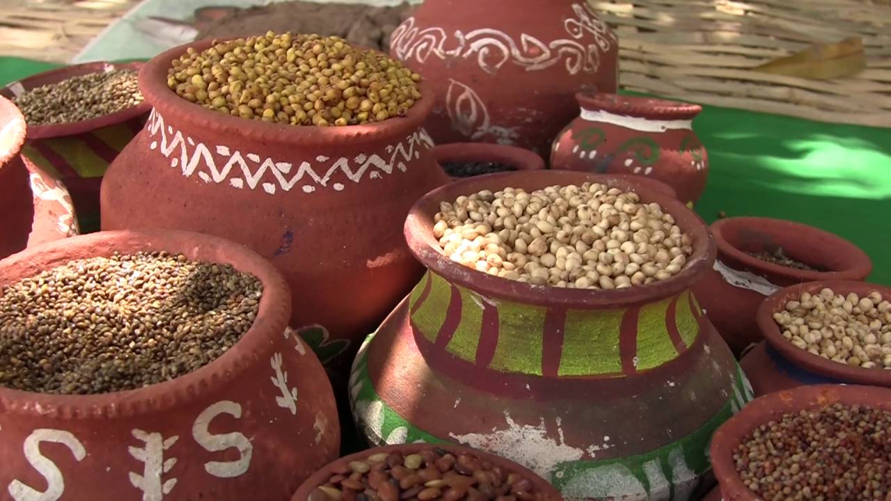 Commerce des semences : Vers la création d’une association ouest africaine