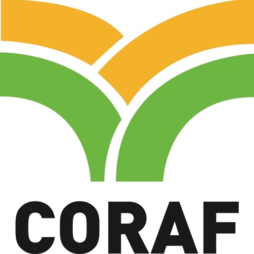 Implication du secteur privé dans l’agroscience et la Recherche Développement  : Le Coraf organise un webinaire le 24 juin prochain