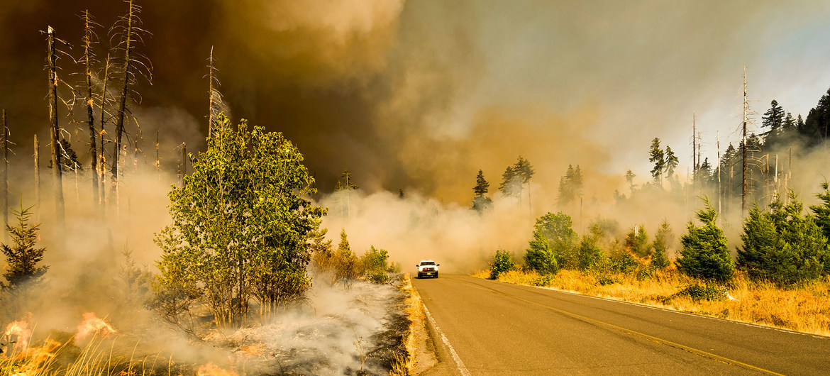 Climat : le nouveau rapport du GIEC est une « alerte rouge pour l'humanité » (Guterres)