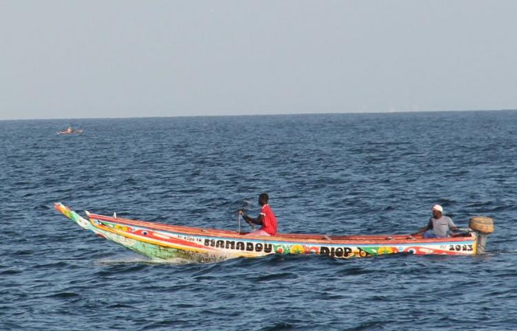 Le RNCLPA, un instrument important pour aller vers une pêche durable au Sénégal (Jon Anderson) Le RNCLPA, un instrument important pour aller vers une pêche durable au Sénégal (Jon Anderson)