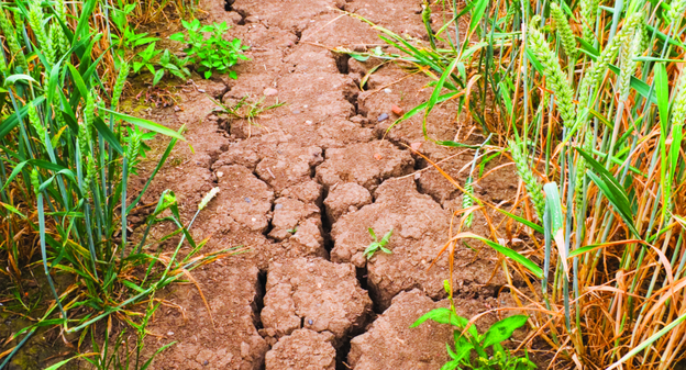 Le changement climatique et ses conséquences s’accélèrent, prévient l’ONU